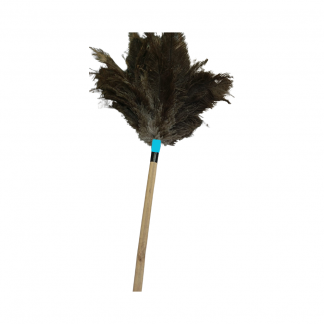 Plumero Celeste Chico